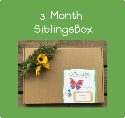 3 Month Siblings LetterBox Subscription ~ £46.50 for 3 months ~ £15.50 per Month