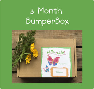 3 Month Bumper Box Subscription  -  £55.50 for 3 months £18.50 per month