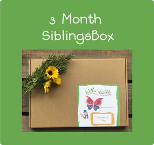 3 Month Siblings LetterBox Subscription ~ £46.50 for 3 months ~ £15.50 per Month