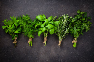 Grow your own Herb Garden Kit