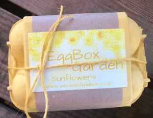 Sunflower Egg Box Garden