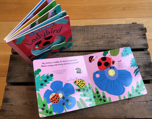 Ladybird Book