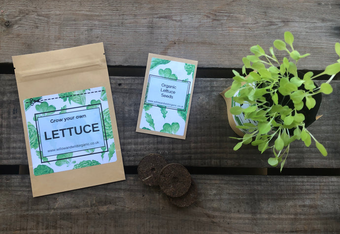 Grow your own Lettuce Grow Bag