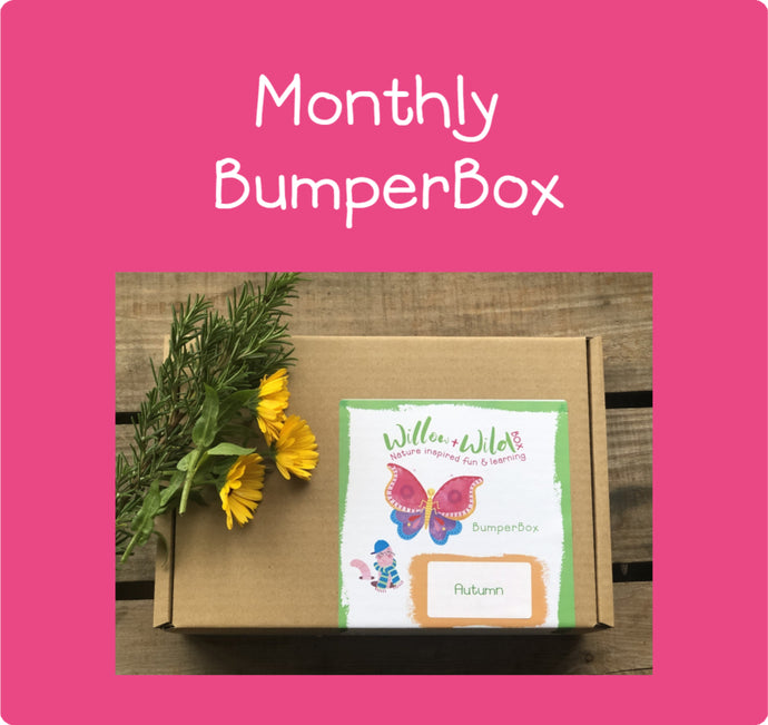 Monthly Subscription Bumper Box