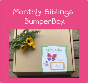 Monthly Siblings Bumper Box Subscription