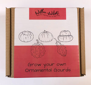 Grow your own Ornamental Gourds Kit