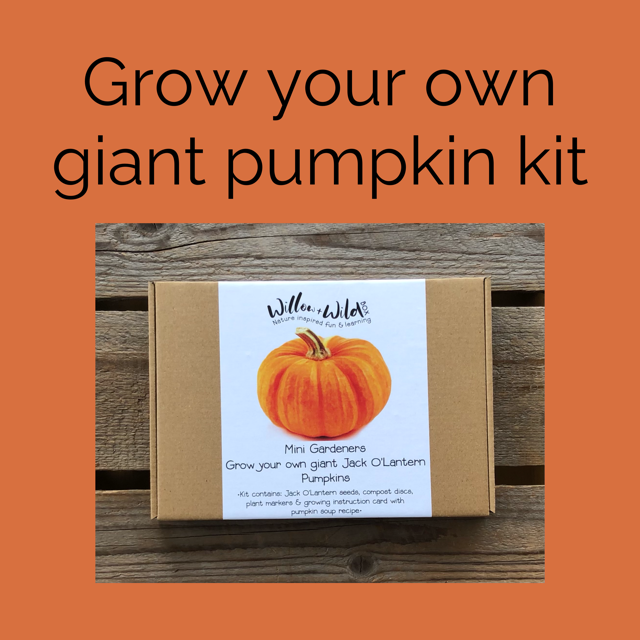 Grow Your Own Giant Pumpkin Kit