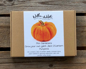 Grow Your Own Giant Pumpkin Kit