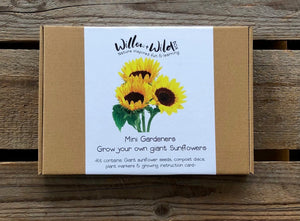 Grow Your Own Giant Sunflowers Kit