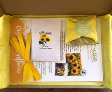 Grow Your Own Giant Sunflowers Kit