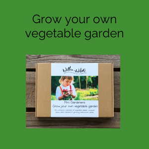 Grow Your Own Vegetable Garden